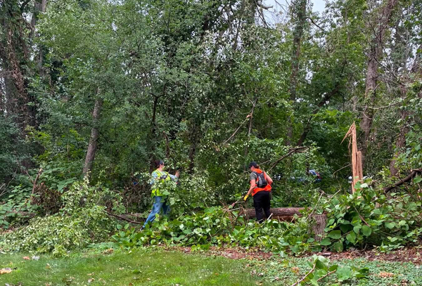 volunteers cleaning up after tornado