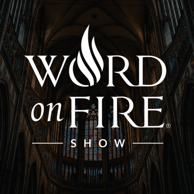 word on fire storytelling and evangelization