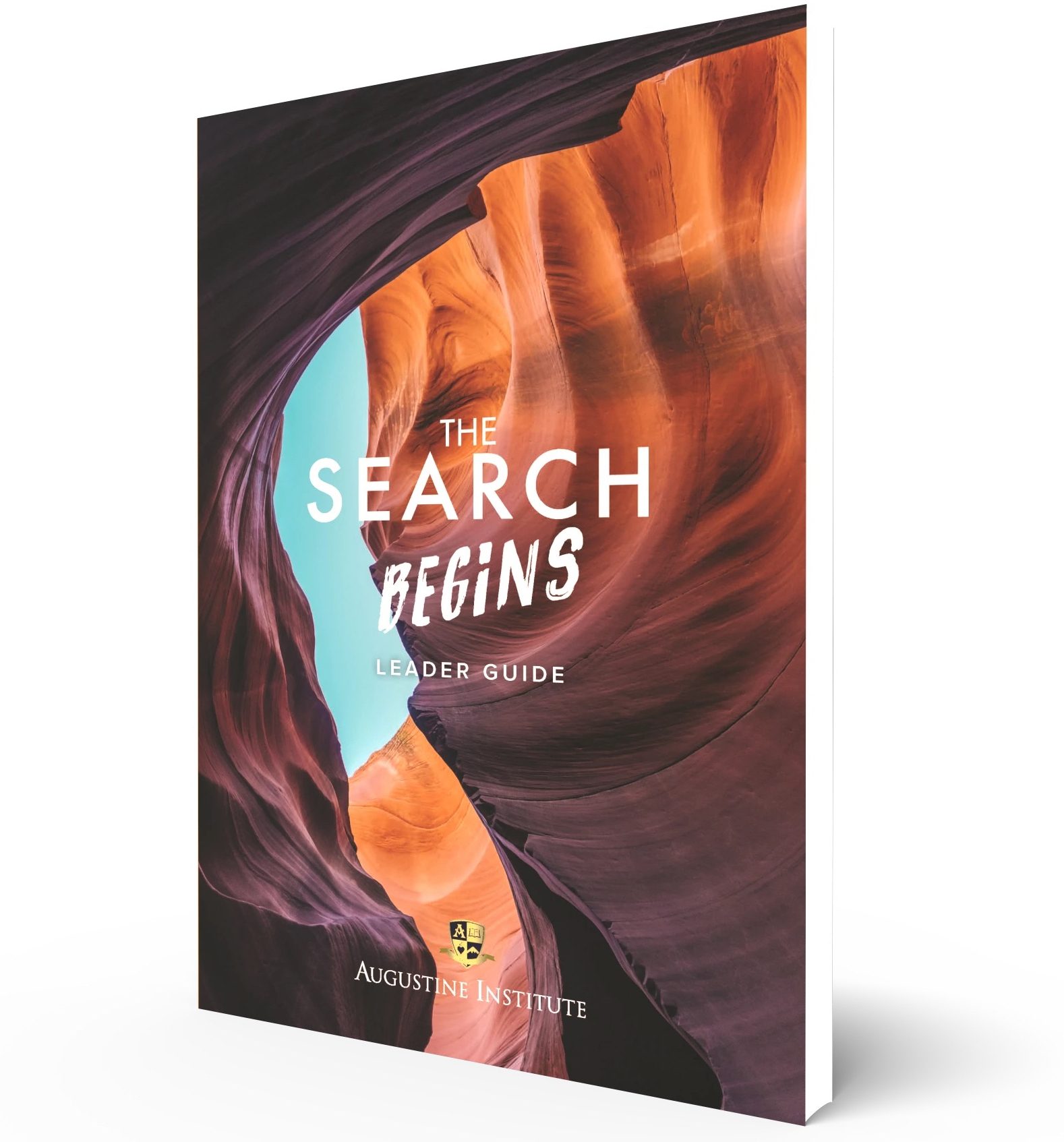 The Search Begins