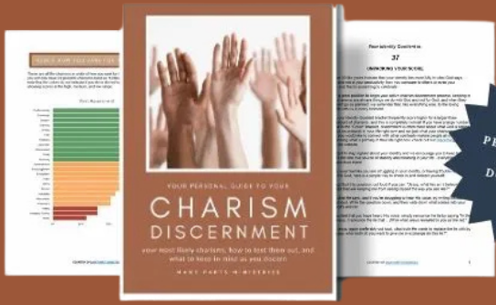 charism assessment many parts